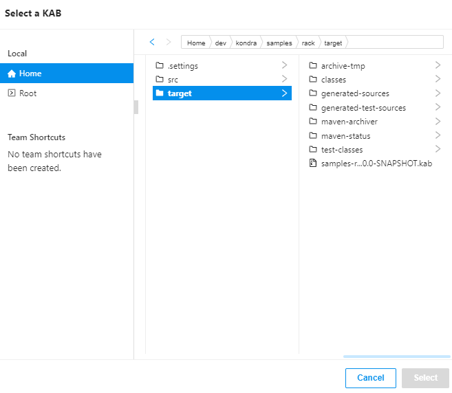 Configure local artifact
